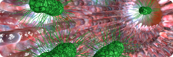 Illustration of microorganisms in the human gut to represent SIBO causes and symptoms