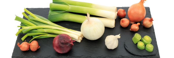 fresh onions, spring onions and garlic on a slate board