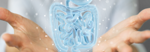 A person with open hands seemingly holding a graphic representation of intestines.