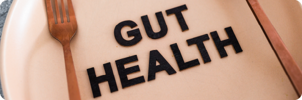 a plate with a knife and fork on top of it and the words 'gut health' overlayed on top of it.