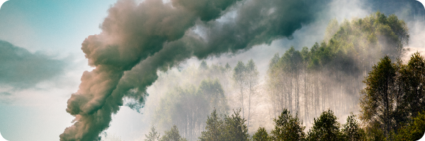 Smoke and pollution streaming into the atmosphere and to nearby trees to represent that environmental chemical exposure can impact the gut microbiome. 