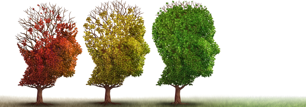 Three trees with their leaves in the shape of a human face. The onw on the right is full and green, the middle one has yellowing leaves with some branches exposed and the one on the left has reddish dead leaves with even more bare branches. To represent the cognitive decline that happens with different forms of dementia.