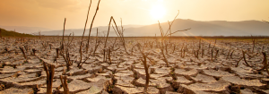 A baron dried dessert with cracked earth under the sun to illustrate signs and symptoms of dehydration