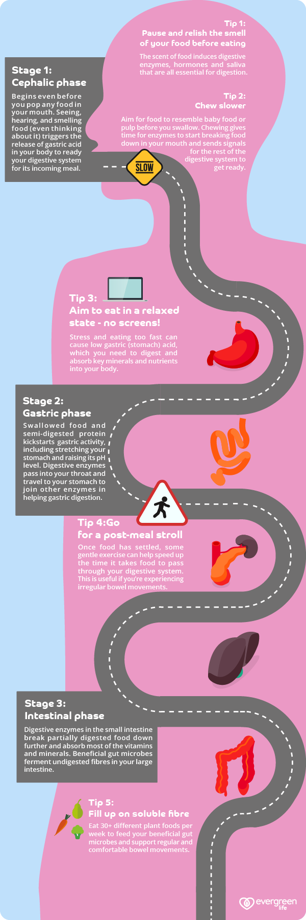 10 Easy Steps To Improve Digestion - American School of Natural Health