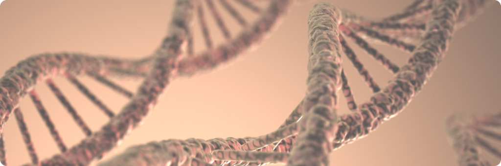 A DNA double helix.