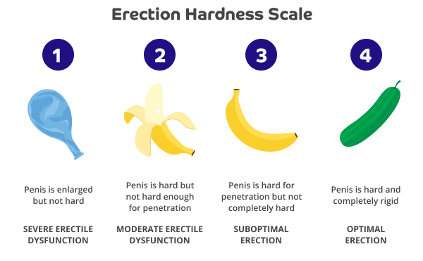 Dark grey text at the top says: 'Erection Hardness Scale'. Beneath are white numbers 1, 2, ,3 ,4 in dark blue circles. Under number 1 is an illustration of a deflated blue balloon. Beneath is black text: 'Penis is enlarged but not heard' and below in capitals is: 'Severe Erectile Dysfunction'. Beneath number 2 is an illustration of a peeled banana. Beneath is black text: 'Penis is hard but not hard enough for penetration'. Below in capitals is: 'Moderate Erectile Dysfunction'. Under number 3 is an illustration of an unpeeled banana. Beneath, in black text: 'Penis is hard for penetration but not completely hard' Below in capitals: 'Suboptimal Erection'. Under number 4 is an illustration of a cucumber. Beneath black text says: 'Penis is hard and completely rigid' Below in capitals 'Optimal Erection.
